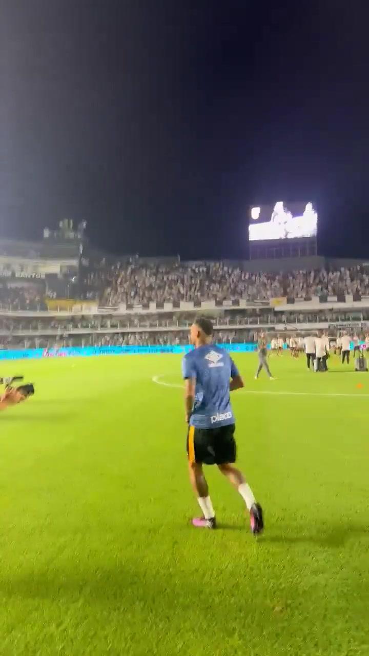 露出对费南