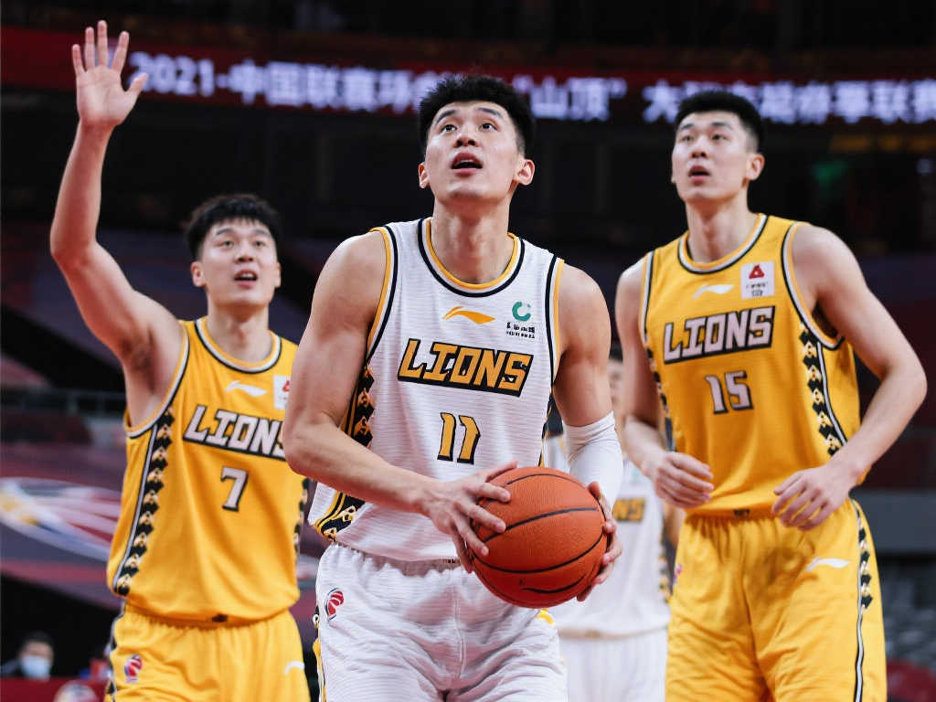 特点和历史 特点和历史